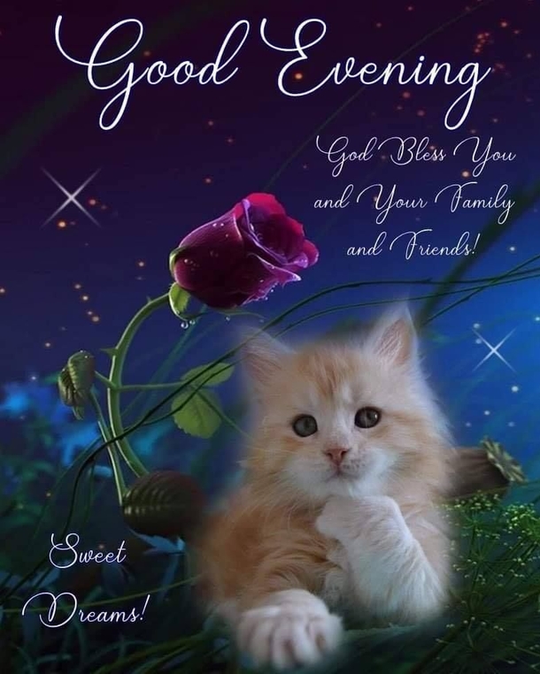 10 Very Special & Beautiful Good Evening Images - picture 10