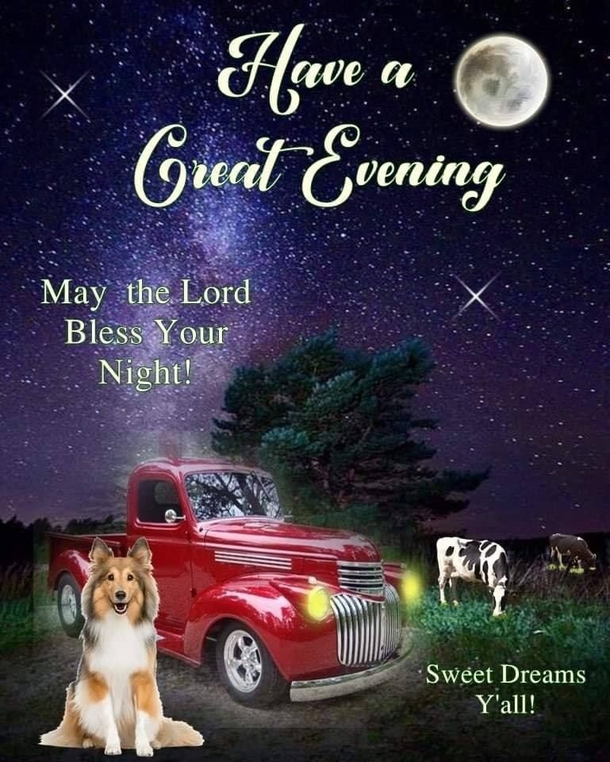 10 Very Special & Beautiful Good Evening Images - picture 11