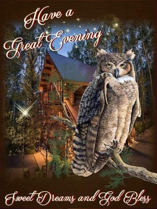 10 Very Special & Beautiful Good Evening Images - picture 3