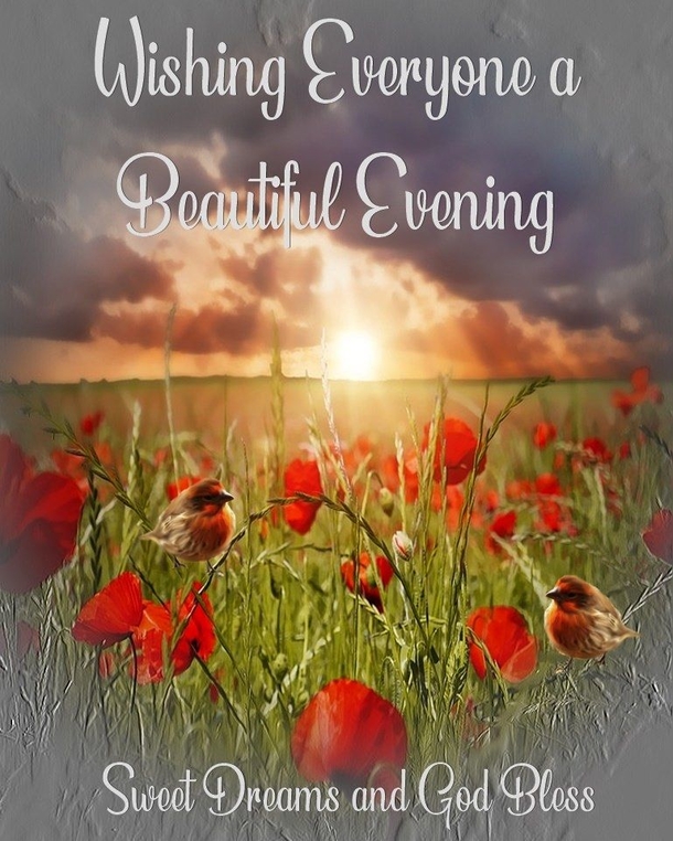 10 Very Special & Beautiful Good Evening Images - picture 4