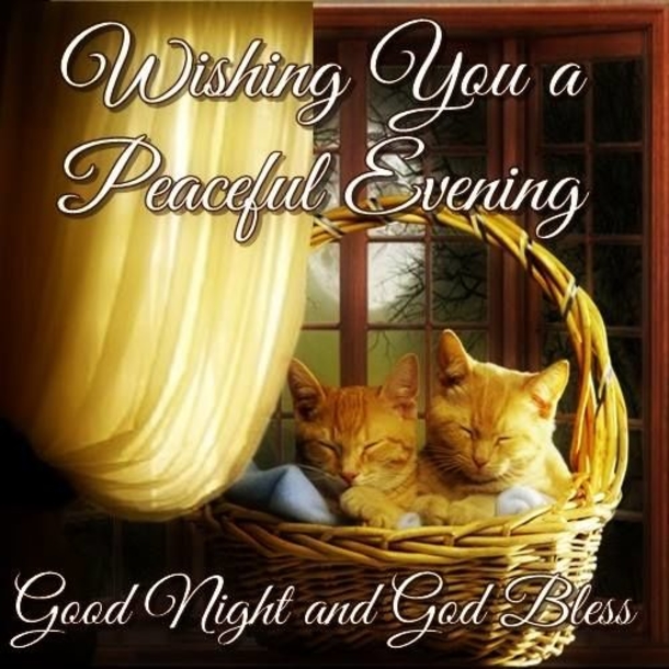 10 Very Special & Beautiful Good Evening Images - picture 9