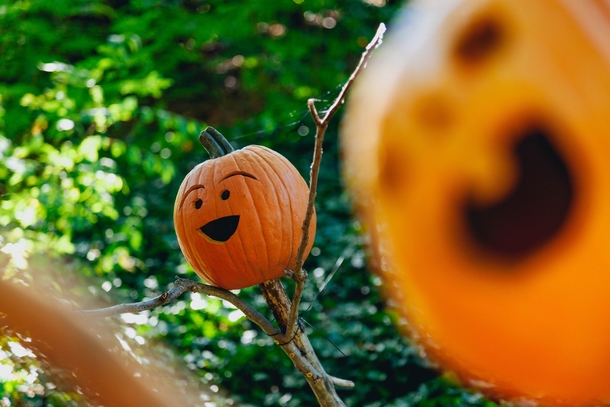 10 Very Spooky Jack O Lantern Ideas - picture 2