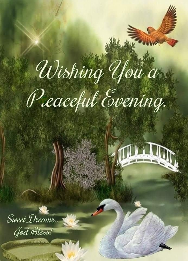 10 Very Touching & Lovely Good Night Quotes - picture 4