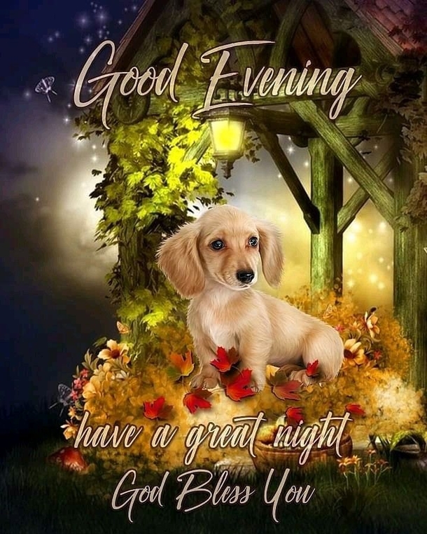 10 Very Wonderful Good Evening Quotes, Sayings And Greetings - picture 6