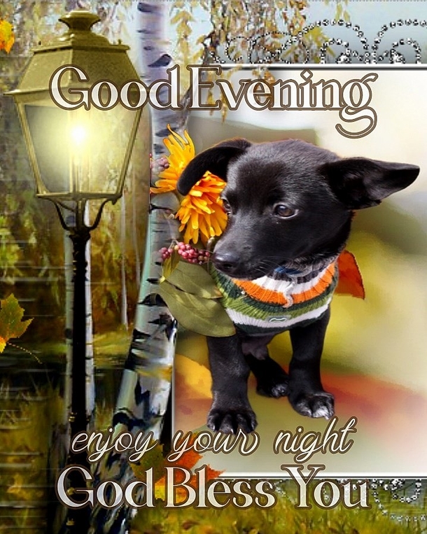 10 Very Wonderful Good Evening Quotes, Sayings And Greetings - picture 7