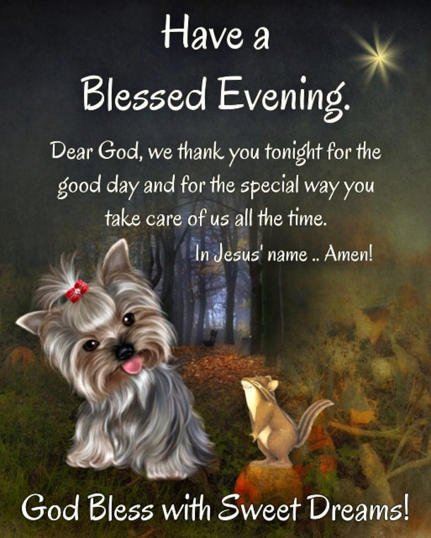 10 Very Wonderful Good Evening Quotes, Sayings And Greetings - picture 8
