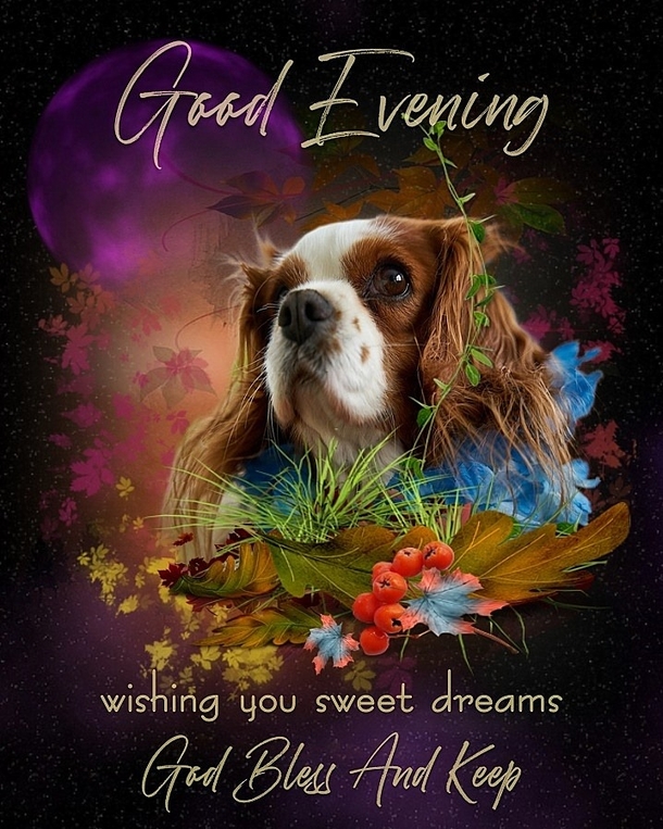 10 Very Wonderful Good Evening Quotes, Sayings And Greetings - picture 9