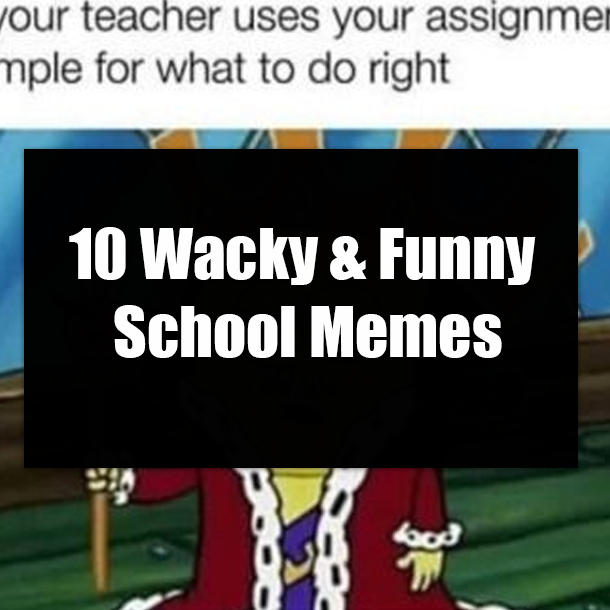 10 Wacky & Funny School Memes