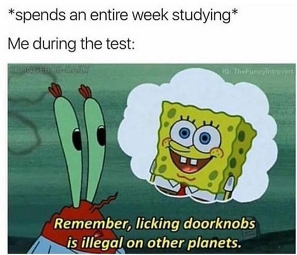 10 Wacky & Funny School Memes - picture 6