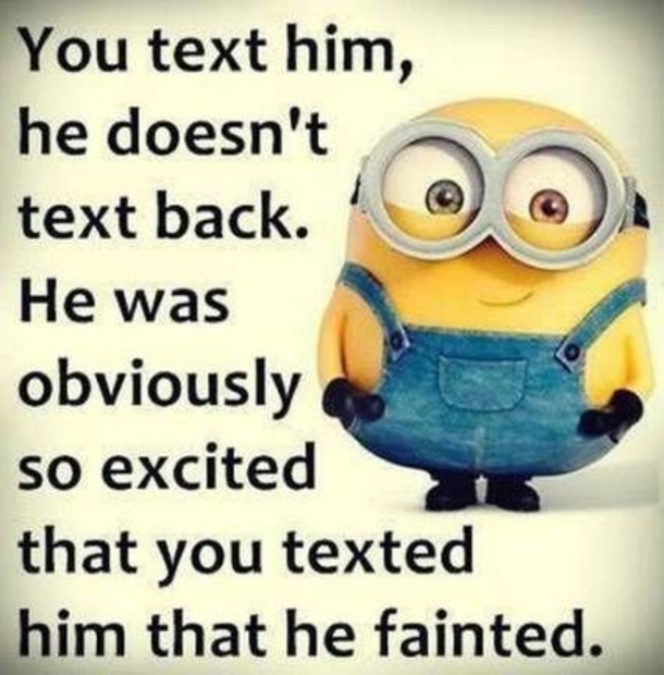 10 Wacky & Silly Minion Quotes - picture 4