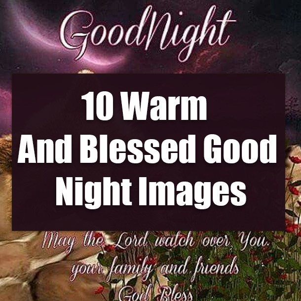 10 Warm And Blessed Good Night Images