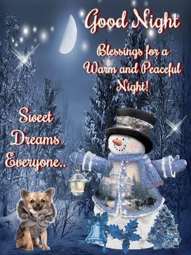 10 Warm And Blessed Good Night Images - picture 2