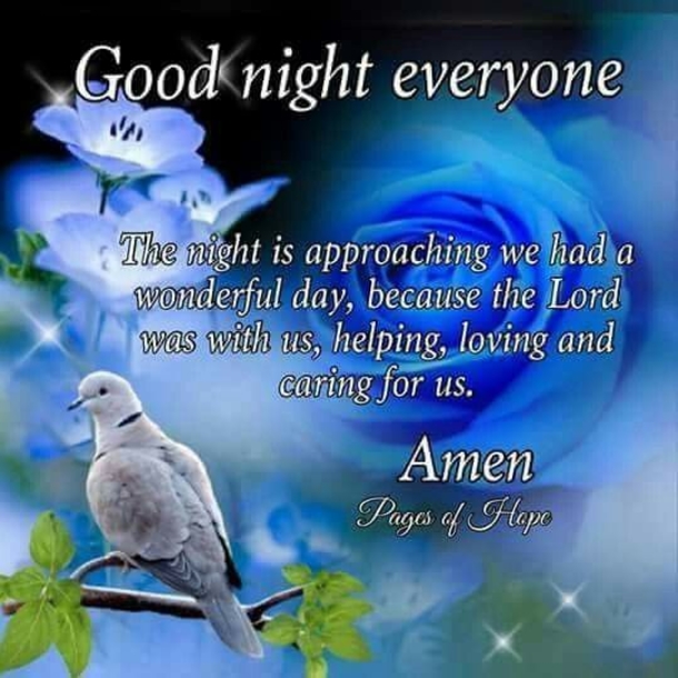 10 Warm And Blessed Good Night Images - picture 6