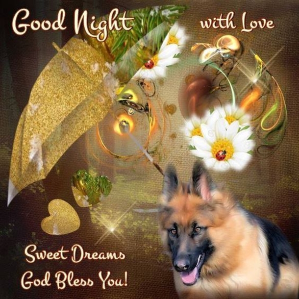 10 Warm And Blessed Good Night Images - picture 7