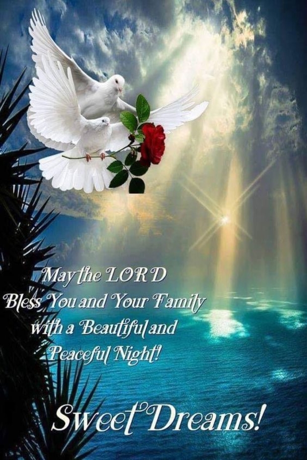 10 Warm And Blessed Good Night Images - picture 8