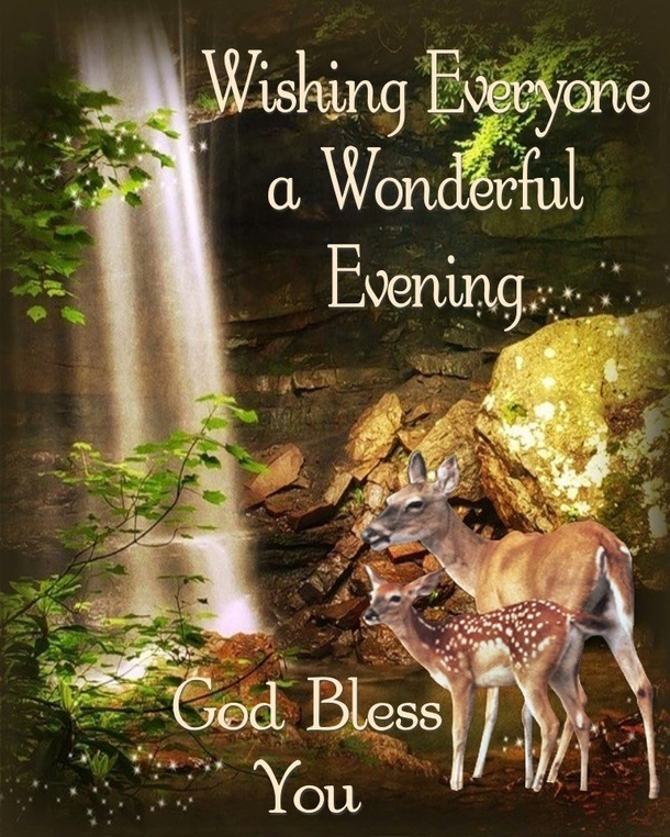 10 Warm Good Evening Quotes That Will Bless Your Heart - picture 10