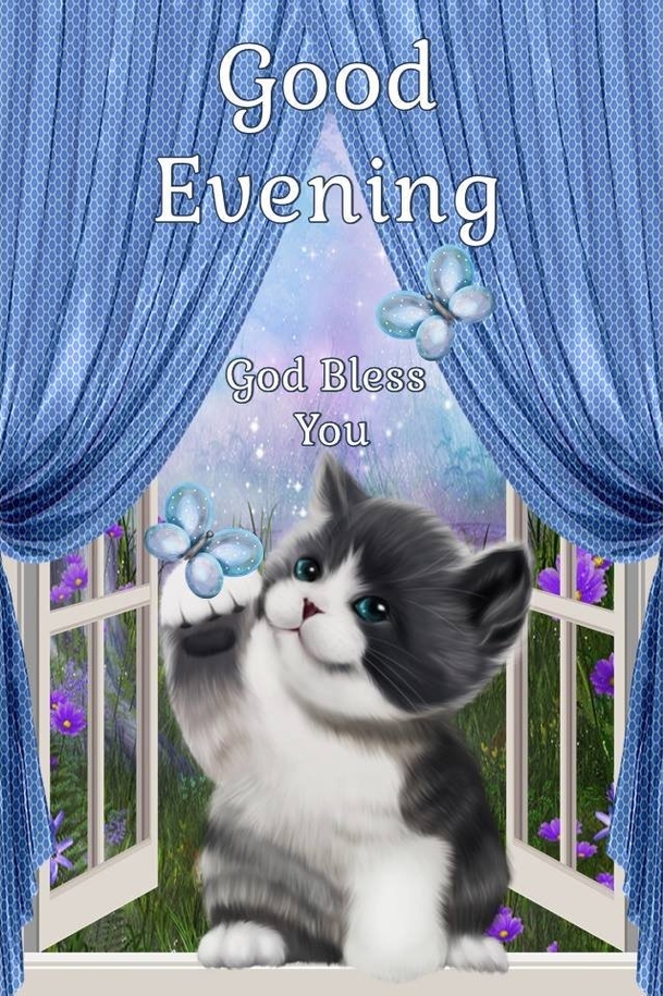 10 Warm Good Evening Quotes That Will Bless Your Heart - picture 12