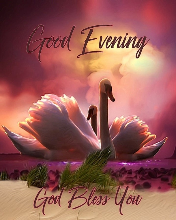 10 Warm Good Evening Quotes That Will Bless Your Heart - picture 2