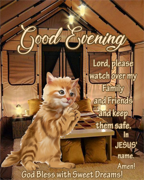 10 Warm Good Evening Quotes That Will Bless Your Heart - picture 4