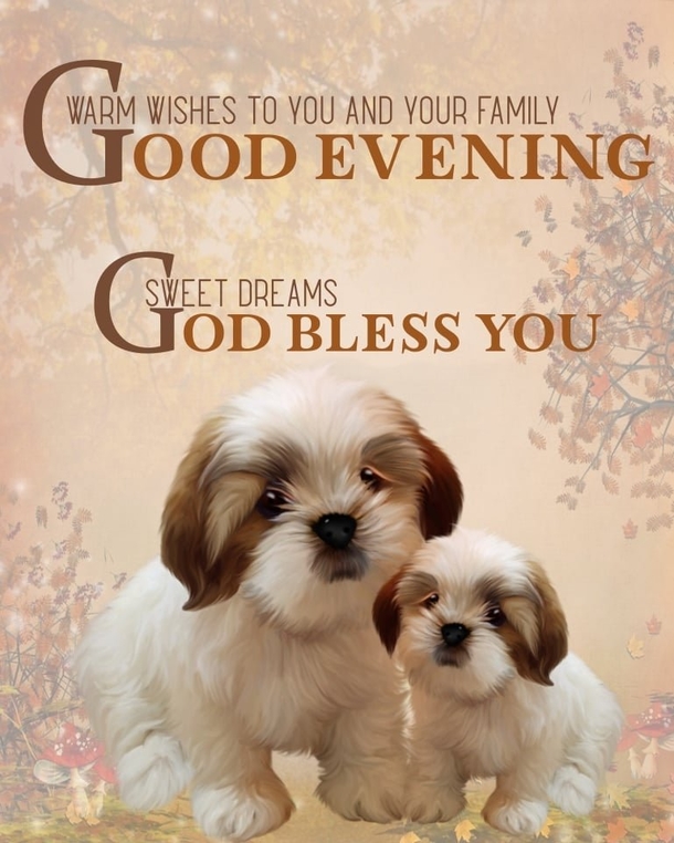 10 Warm Good Evening Quotes That Will Bless Your Heart - picture 6