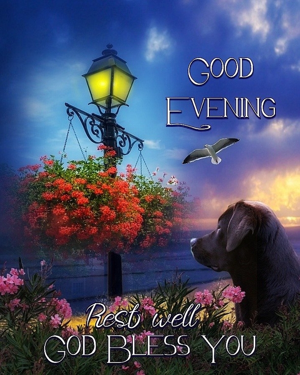 10 Warm Good Evening Quotes That Will Bless Your Heart - picture 7