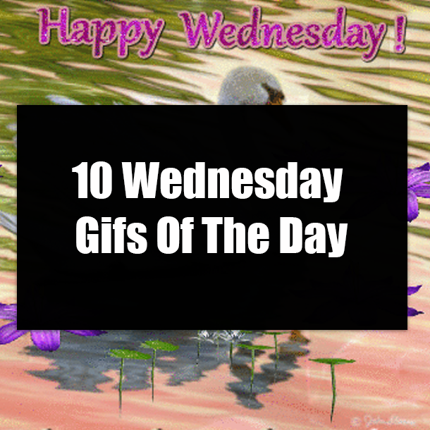 10 Wednesday Gifs Of The Day