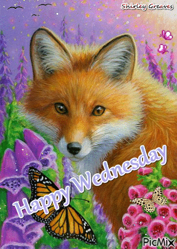 10 Wednesday Gifs Of The Day - picture 10
