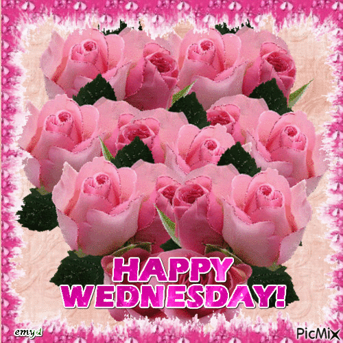 10 Wednesday Gifs Of The Day - picture 5