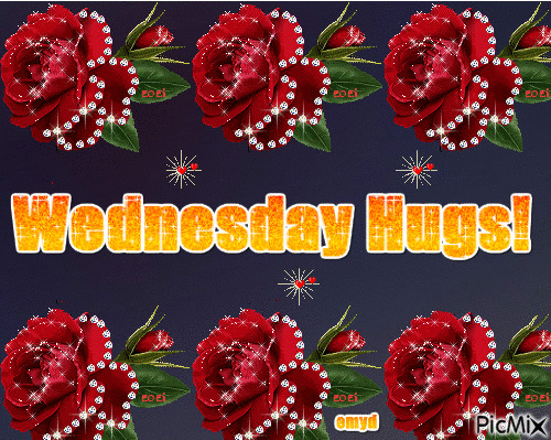 10 Wednesday Gifs Of The Day - picture 7