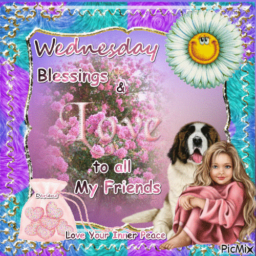 10 Wednesday Gifs Of The Day - picture 8