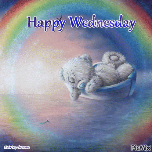 10 Wednesday Gifs Of The Day - picture 9