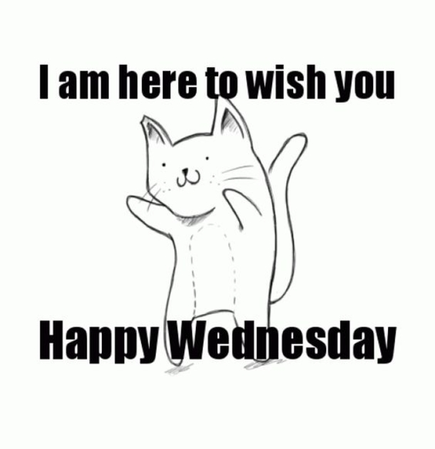 10 Wednesday Memes That'll Make You Wish It Was Friday Already - picture 9