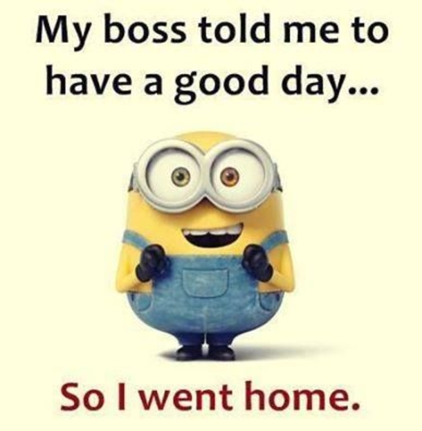 10 Wednesday Minion Images To Help Get You Through The Day - picture 11