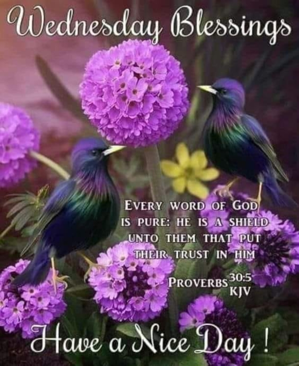 10 Wednesday Picture Quotes And Sayings For A Beautiful New Day - picture 5