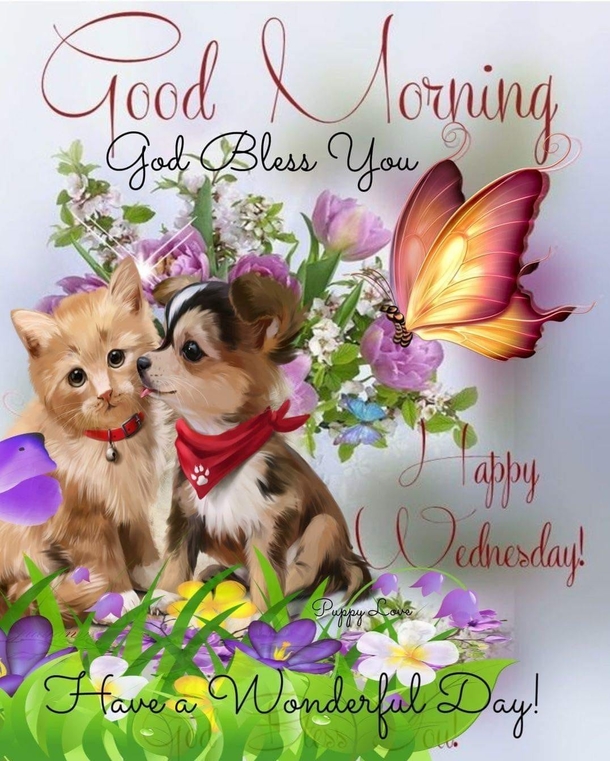 10 Wednesday Picture Quotes And Sayings For A Beautiful New Day - picture 6