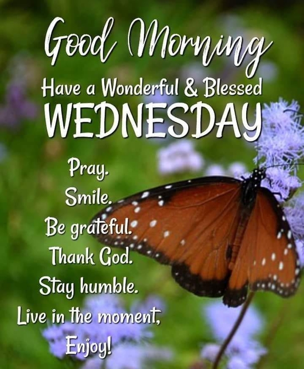 10 Wednesday Picture Quotes And Sayings For A Beautiful New Day - picture 7