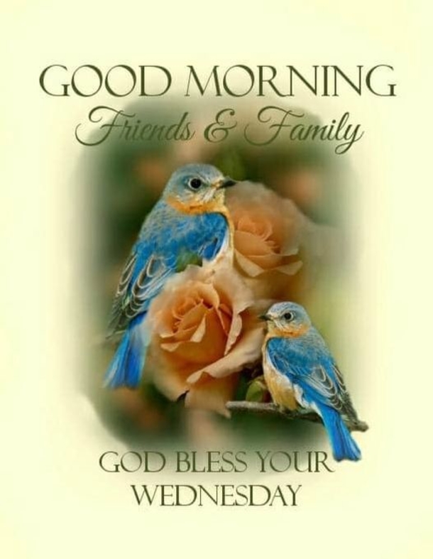 10 Wednesday Quotes To Welcome A Beautiful New Wednesday Morning - picture 11