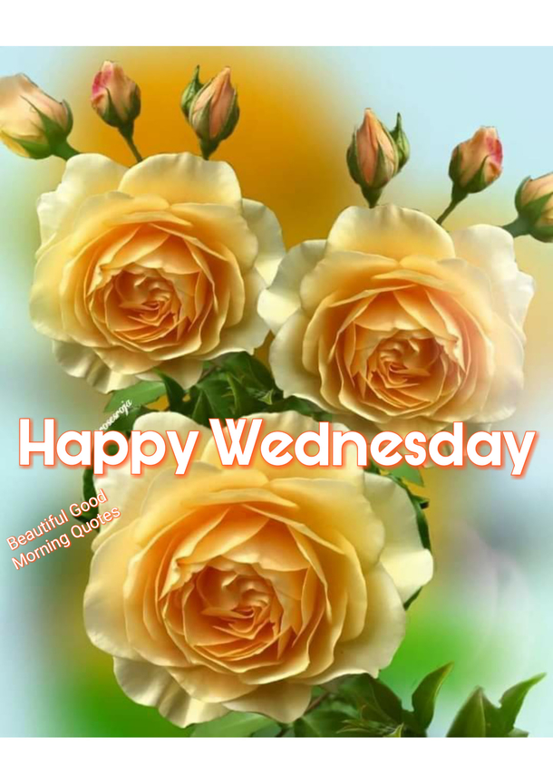 10 Wednesday Quotes To Welcome A Beautiful New Wednesday Morning - picture 3