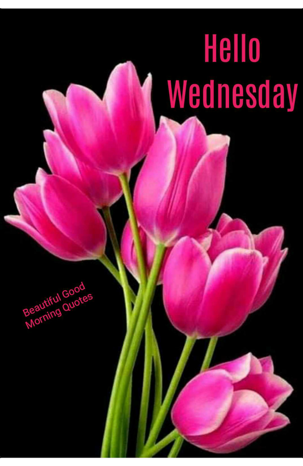 10 Wednesday Quotes To Welcome A Beautiful New Wednesday Morning - picture 4
