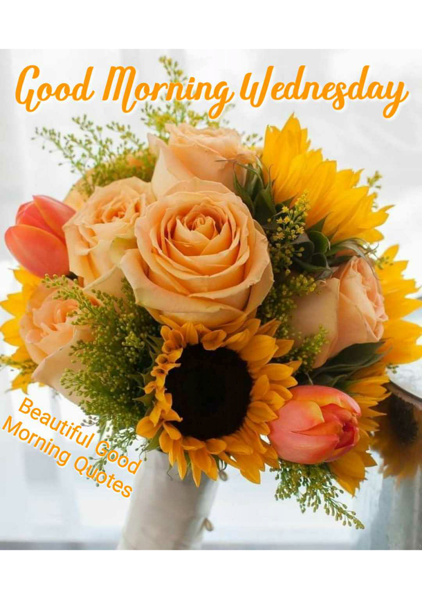 10 Wednesday Quotes To Welcome A Beautiful New Wednesday Morning - picture 7