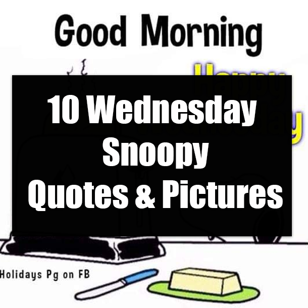 10 Wednesday Snoopy Quotes & Pictures