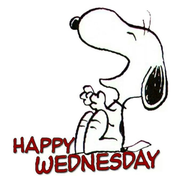 10 Wednesday Snoopy Quotes & Pictures - picture 4