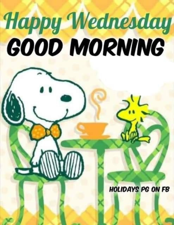 10 Wednesday Snoopy Quotes & Pictures - picture 7