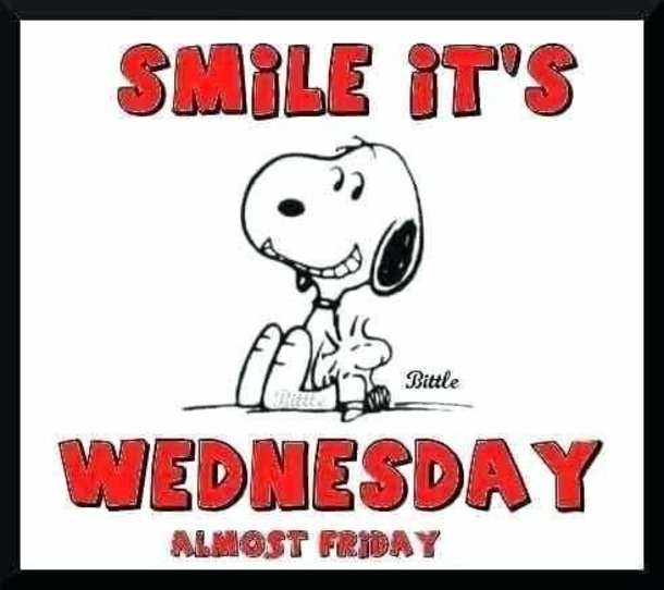 10 Wednesday Snoopy Quotes & Pictures - picture 8