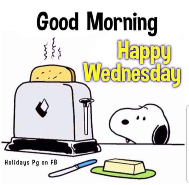 10 Wednesday Snoopy Quotes & Pictures - picture 9