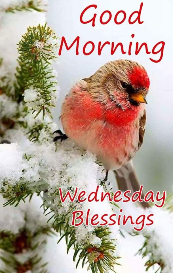10 Wednesday Wishes For Family, Friends And Loved Ones - picture 3