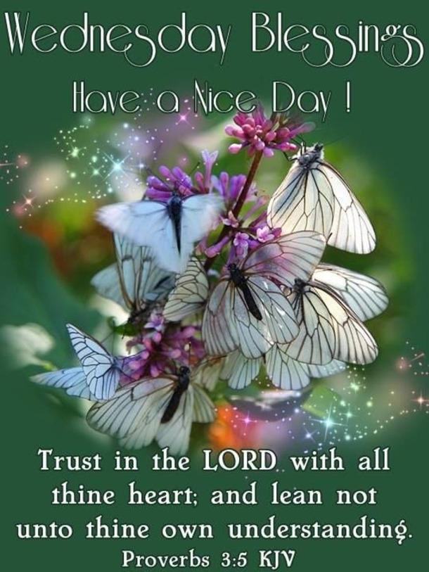 10 Wednesday Wishes For Family, Friends And Loved Ones - picture 5