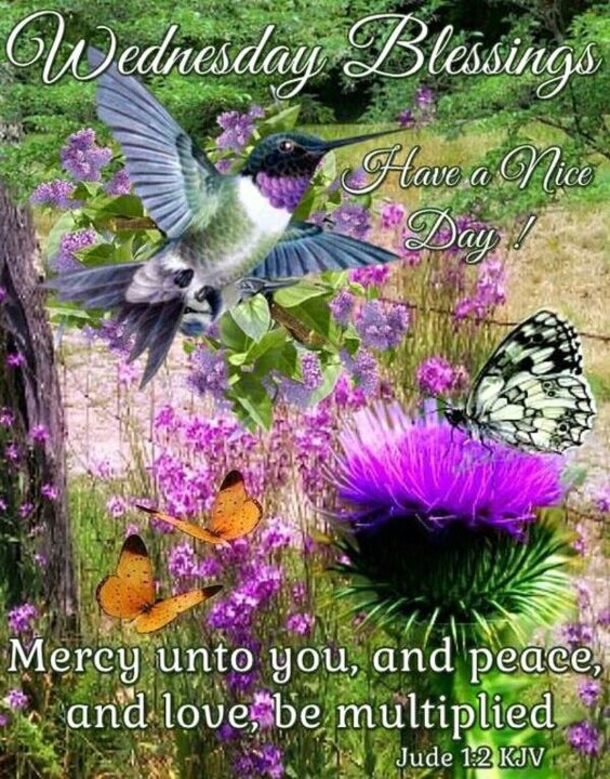 10 Wednesday Wishes For Family, Friends And Loved Ones - picture 7