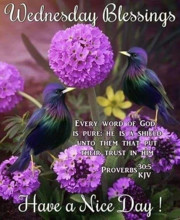 10 Wednesday Wishes For Family, Friends And Loved Ones - picture 8