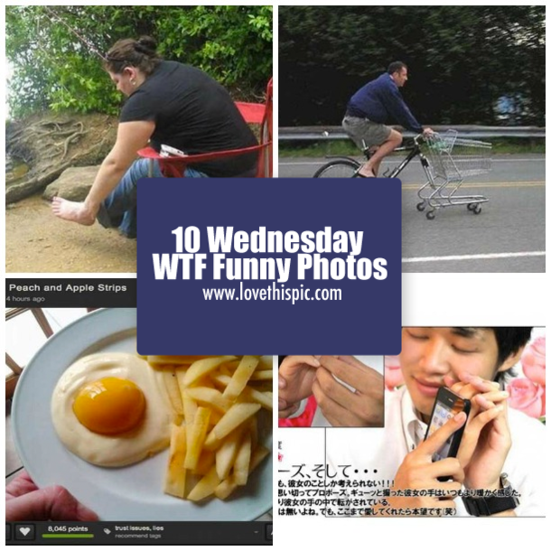 10 Wednesday WTF Funny Photos